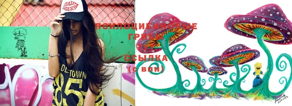 спайс Пролетарск